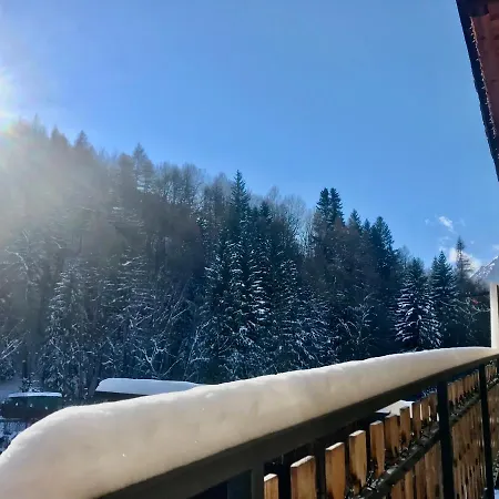 Elisa *