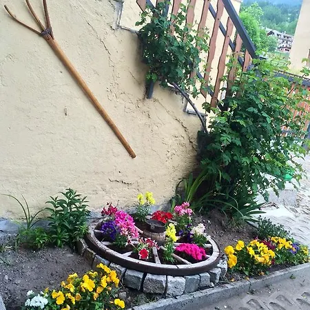 Elisa
