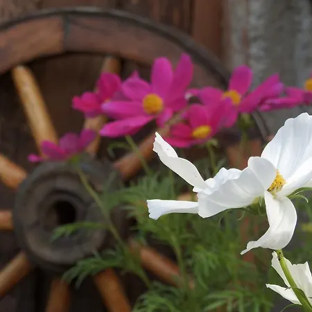 Elisa Сasa de vacaciones Oulx