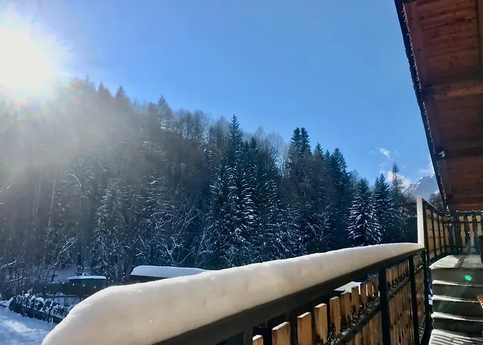 Elisa *